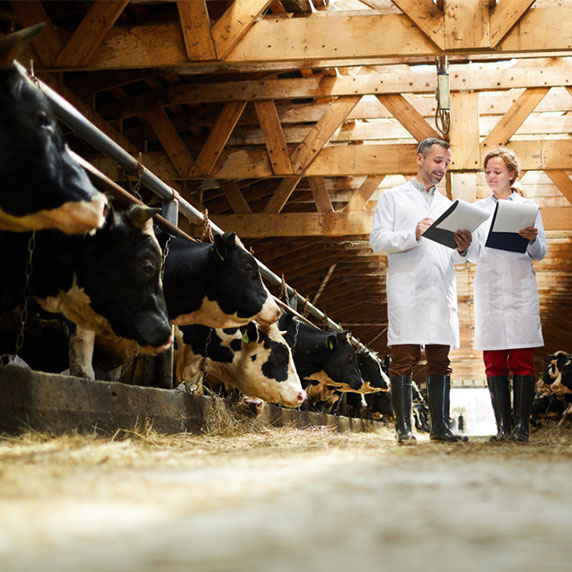 Animal Health Animal Health